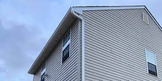 Best Vinyl Siding Installation  in USA